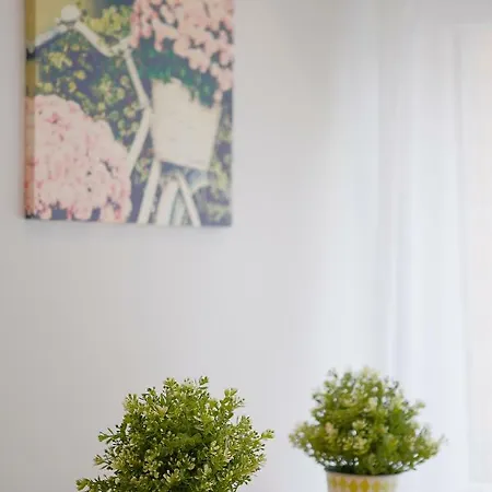 Centro-playa Ii Vut דירה *